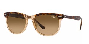 rayban 23981292 M2 53 4