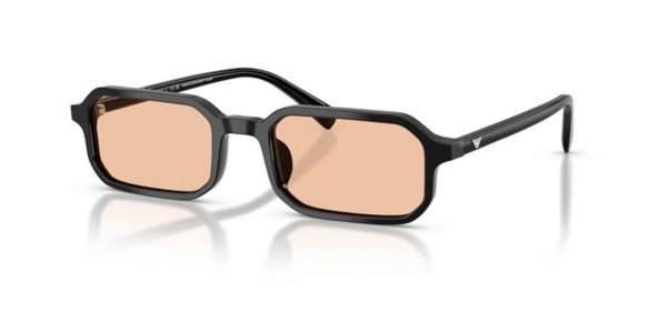 EMPORIO ARMANI 4253U:501793:54 3